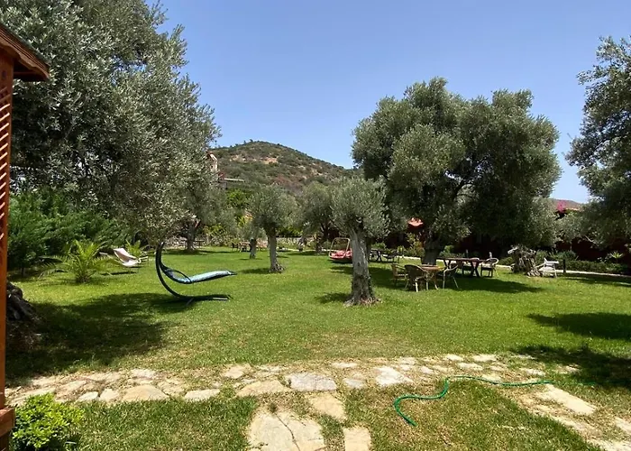 Suzi'Nin Bahcesi Bungalov Evler
